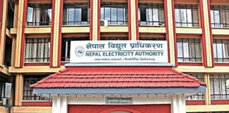 Nepal Electricity Authority -NEA vacancy 2080